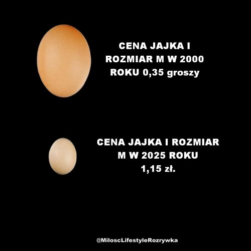 489957143 991110096485286 7541324081150364322 n 991110093151953